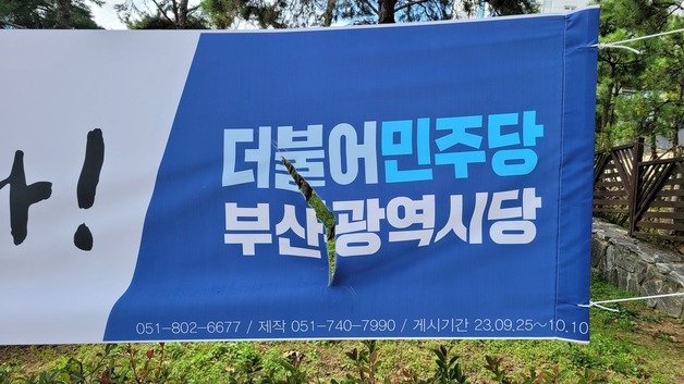 훼손된 민주당 현수막(민주당 부산시당 제공)