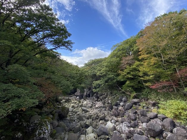 10일 해발 965m 한라산 오목교에 올해 첫 단풍이 들었다.(제주지방기상청 제공)