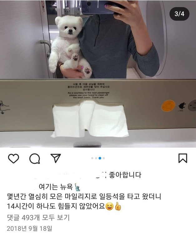 (인스타그램 갈무리)