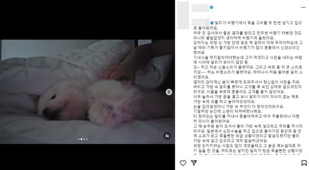 (인스타그램 갈무리)