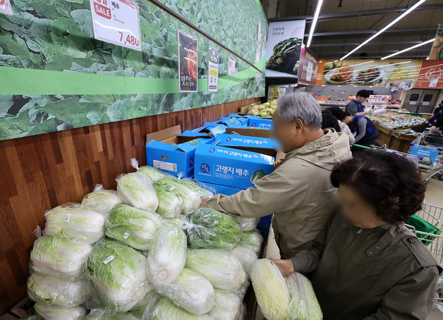 10일 오전 서울 시내 한 대형마트에서 고객이 배추를 고르고 있다. 2023.10.10/뉴스1