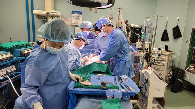 삼성서울병원에 간이식 팀들이 공여받은 간을 환자에게 이식하고 있다. 삼성서울병원 제공