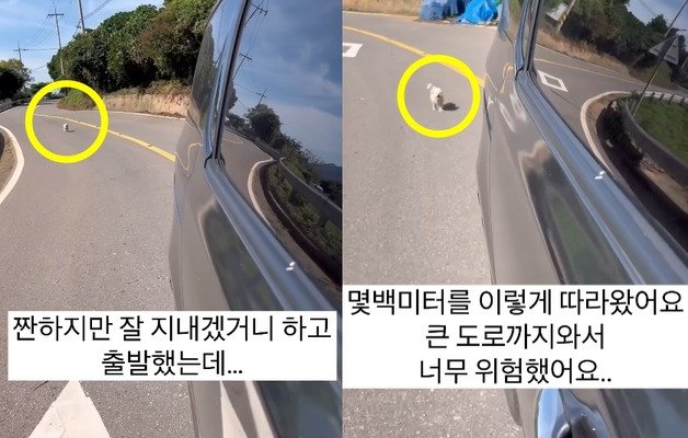 (유튜브 갈무리)