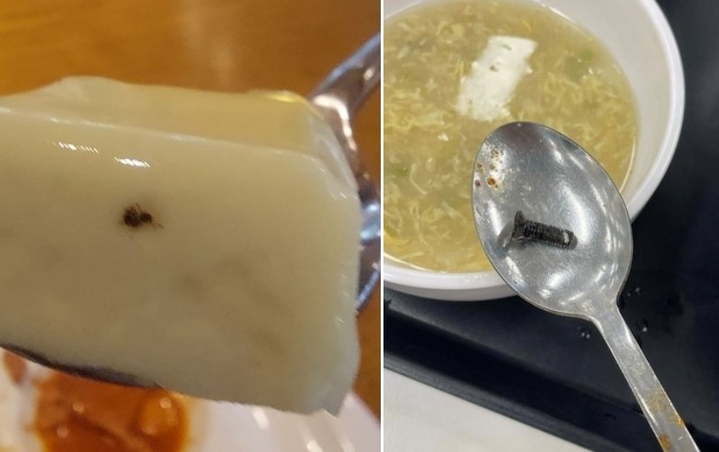한 대학교의 학생 식당 음식에서 이물질이 나왔다며 게시된 사진. 에브리타임 캡처