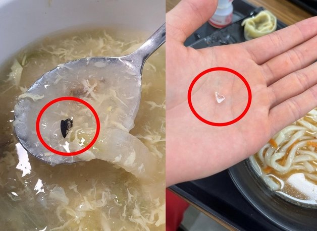 한 대학교의 학생 식당 음식에서 이물질이 나왔다며 게시된 사진. 에브리타임 캡처