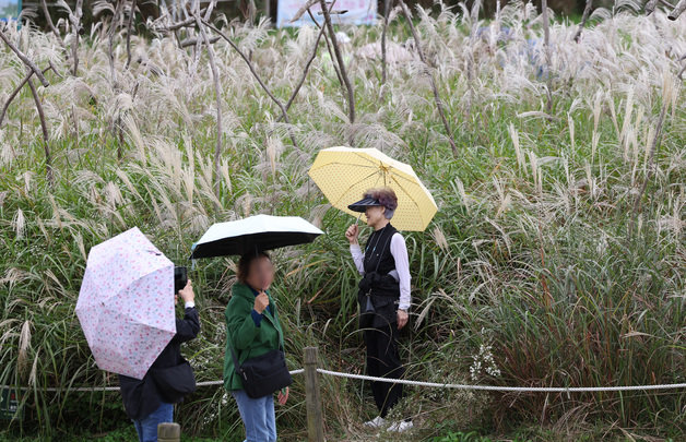 서울 마포구 하늘공원을 찾은 시민들이 우산을 쓰고 걷고 있다. 2023.10.8/뉴스1