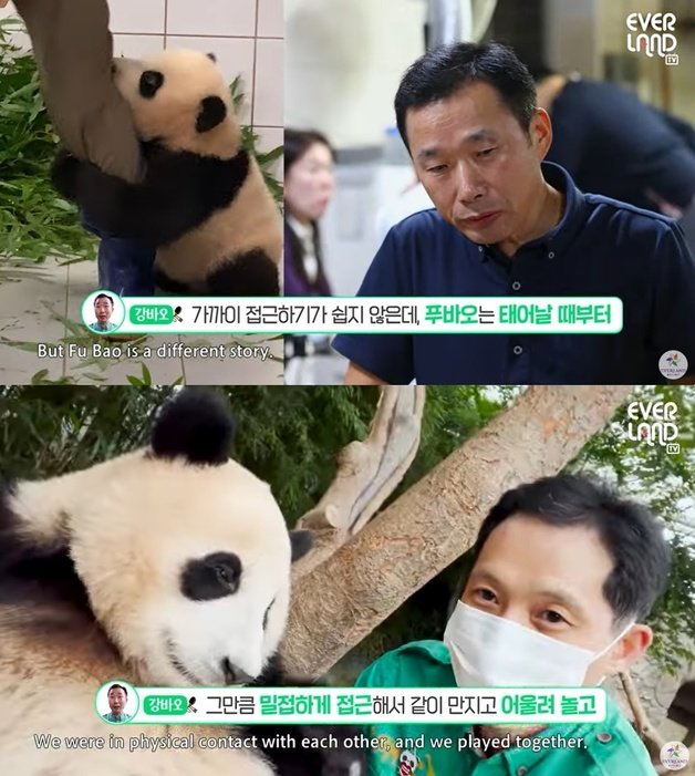 (에버랜드 유튜브 채널 갈무리)