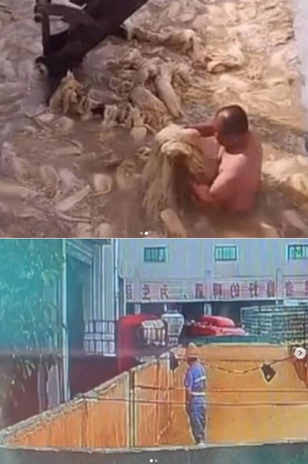 중국 대표 맥주 칭다오 맥주 생산공장의 원료에 직원으로 보이는 남성이 소변을 보는 영상이 공개돼 큰 충격을 안기고 있다. 서경덕 교수 SNS 갈무리