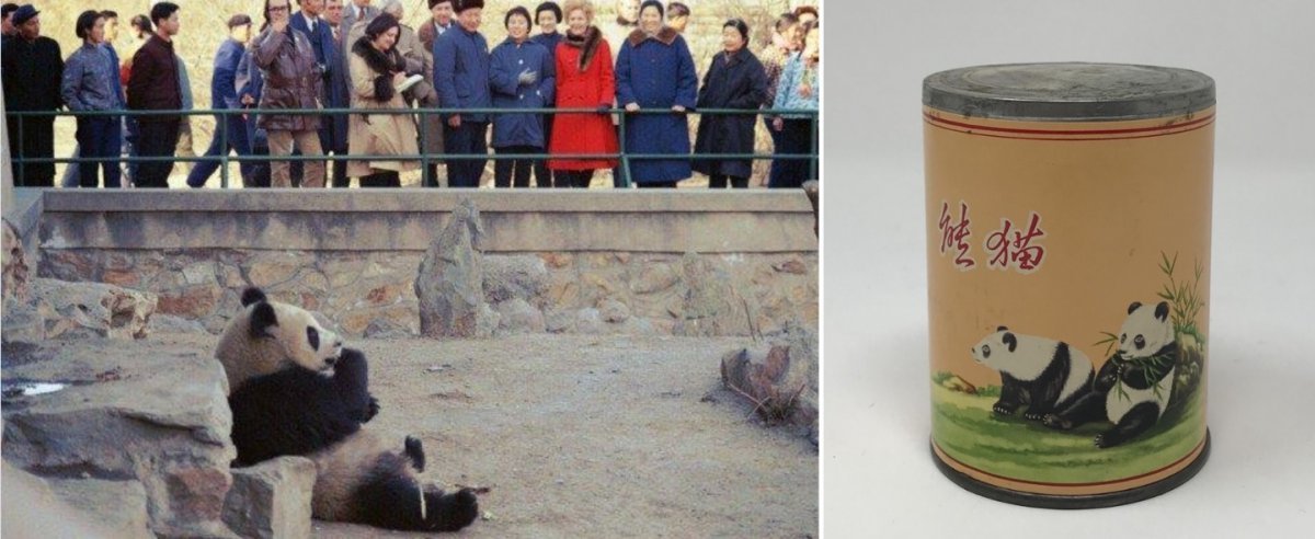 팻 닉슨 여사(왼쪽 사진)가 1972년 2월 중국 베이징 동물원에서 판다를 관람하고 있다. 오른쪽 사진은 판다가 그려져 있는 마오쩌둥의 담배통. (페이스북, 워싱턴포스트)