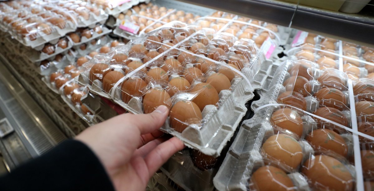 고병원성 조류인플루엔자 발병 가능성이 높은 겨울철을 앞두고 계란 가격이 평년보다 21% 올랐다.  뉴시스