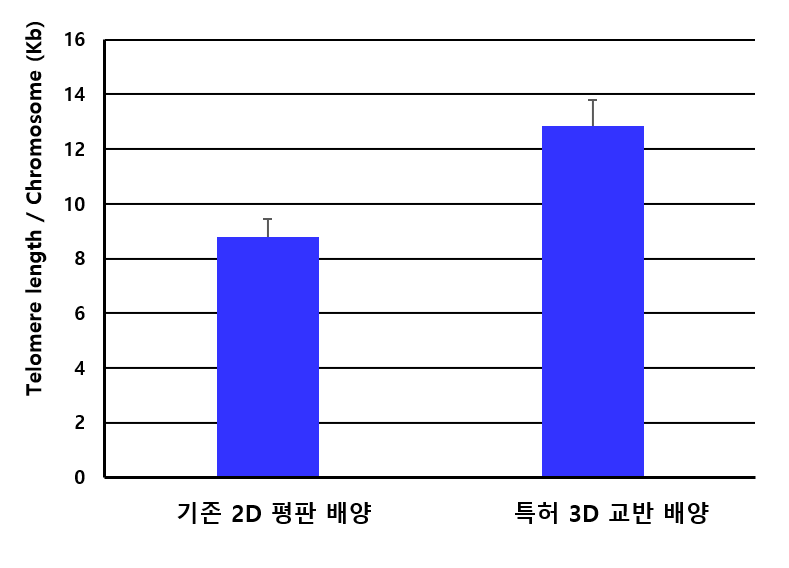 기존 2차원 평판 배양법에 비해 텔로미어 길이가 46% 증가했다.