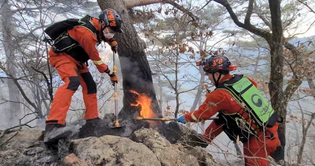 산림청 제공