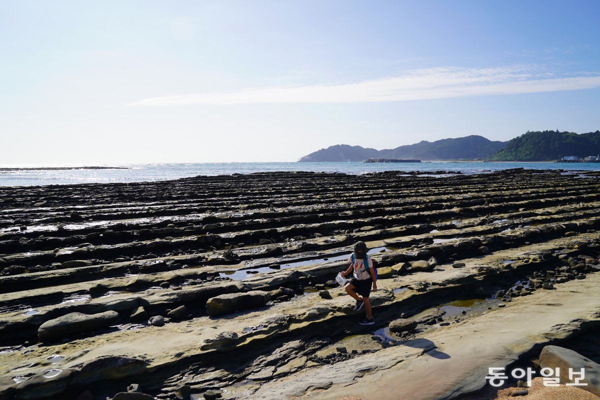 아오시마 신사 앞 해변 ‘도깨비 빨래판’의 울퉁불퉁한 바위에서 아이가 게를 잡고 있다.