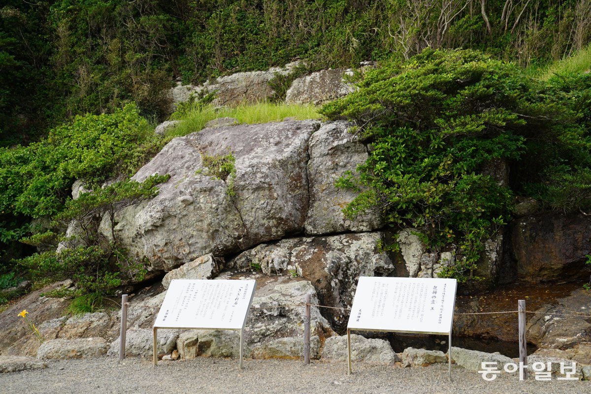 오미신사 경내에 있는 일본 국가에 나오는 돌 ‘사자레이시’.