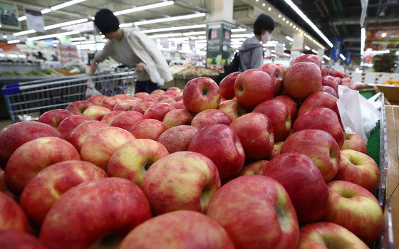 2일 서울 서초구 농협 하나로마트 양재점을 찾은 시민들이 사과를 구매하고 있다.  2023.11.2./뉴스1