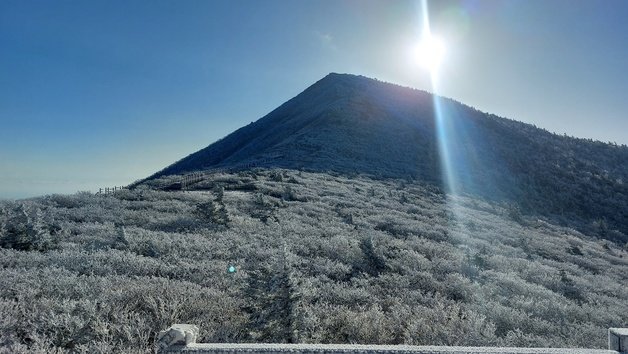 강원 산지를 중심으로 한파특보가 발효된 7일 설악산 고지대에 피어난 상고대가 탐방객의 시선을 끌고 있다. 설악산국립공원사무소 제공