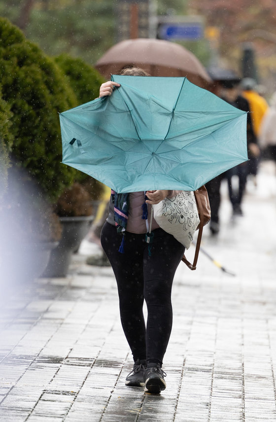서울 지역에 강풍주의보가 발령된 6일 오후 서울 세종대로의 거리에서 한 시민이 바람에 뒤집힌 우산을 정돈하고 있다. 2023.11.6. 뉴스1