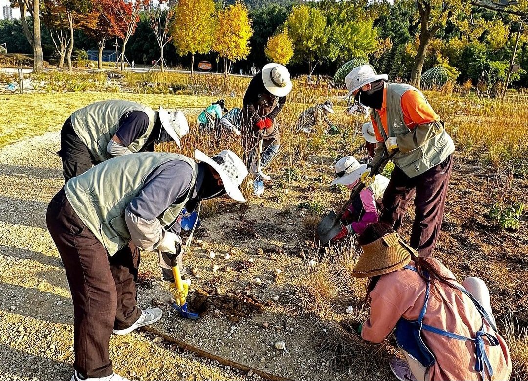한국의 자원봉사자들이 자연주의 정원에 구근을 심는 모습. 피트 아우돌프 인스타그램