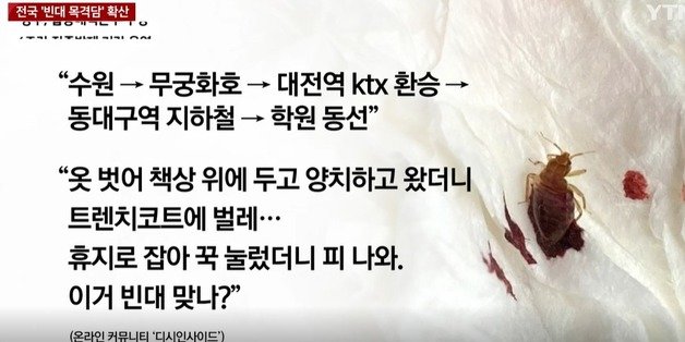 KTX, 지하철 등을 옮겨 탄 이가 외투에서 빈대를 발견했다며 인터넷 커뮤니티에 올린 사진. (YTN 갈무리) ⓒ 뉴스1