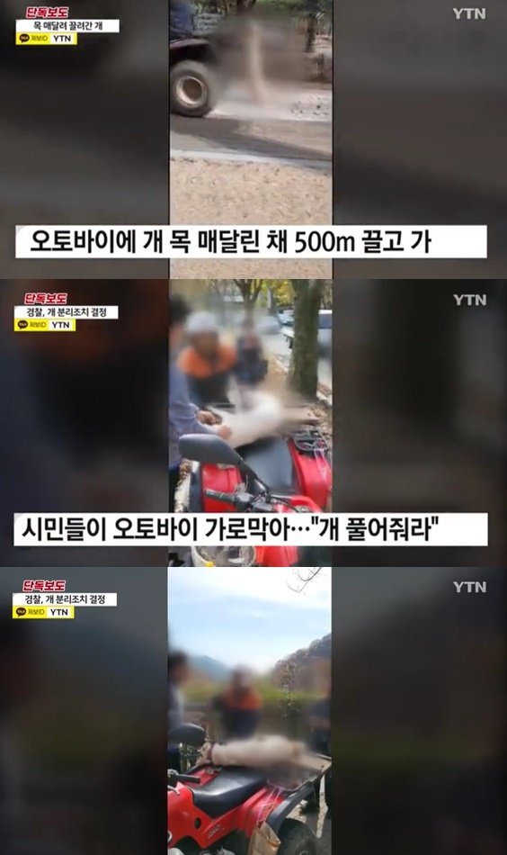 (YTN 갈무리)