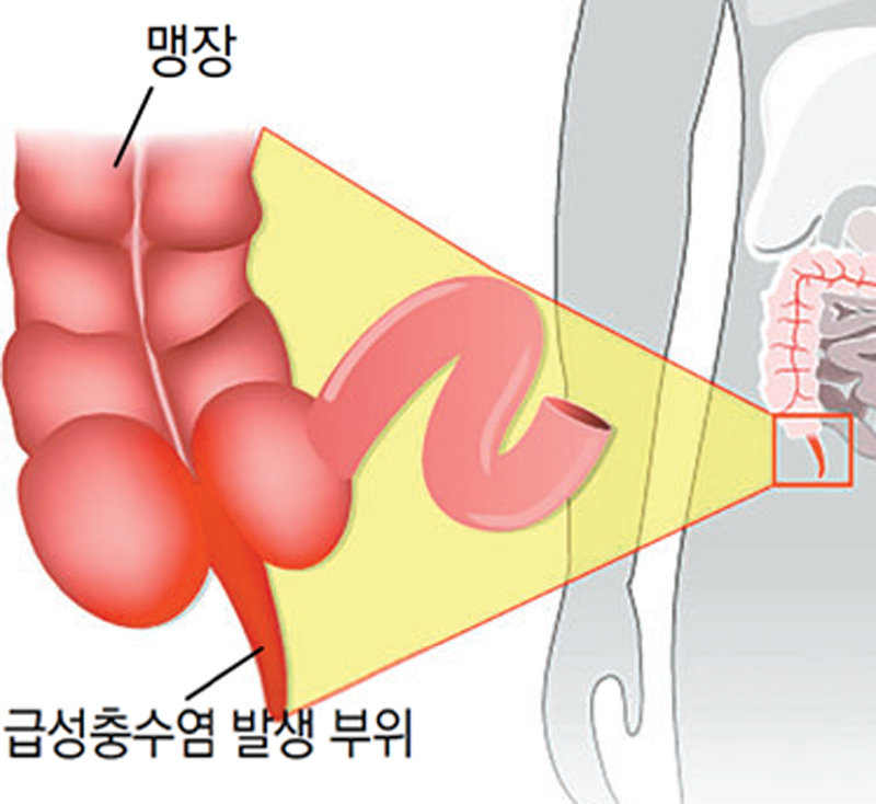 게티이미지코리아