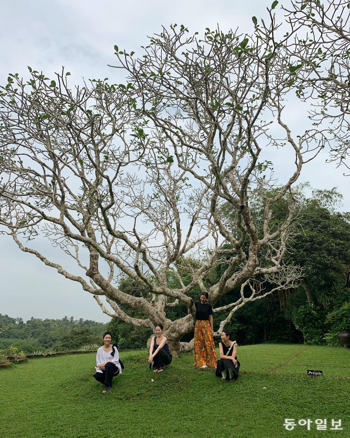 스리랑카의 세계적인 건축가 제프리 바와(Geoffrey Bawa)가 설계한 ‘루누강가 정원.’  20세기 최고의 정원 가운데 하나로 꼽히는 루누강가는 ‘소금의 강’이란 뜻이다. 스리랑카에서 청소년 시절을 보낸 이혜인 디렉터는 2019년 친구들과 함께 이곳을 찾았다.  사진제공 이혜인 씨