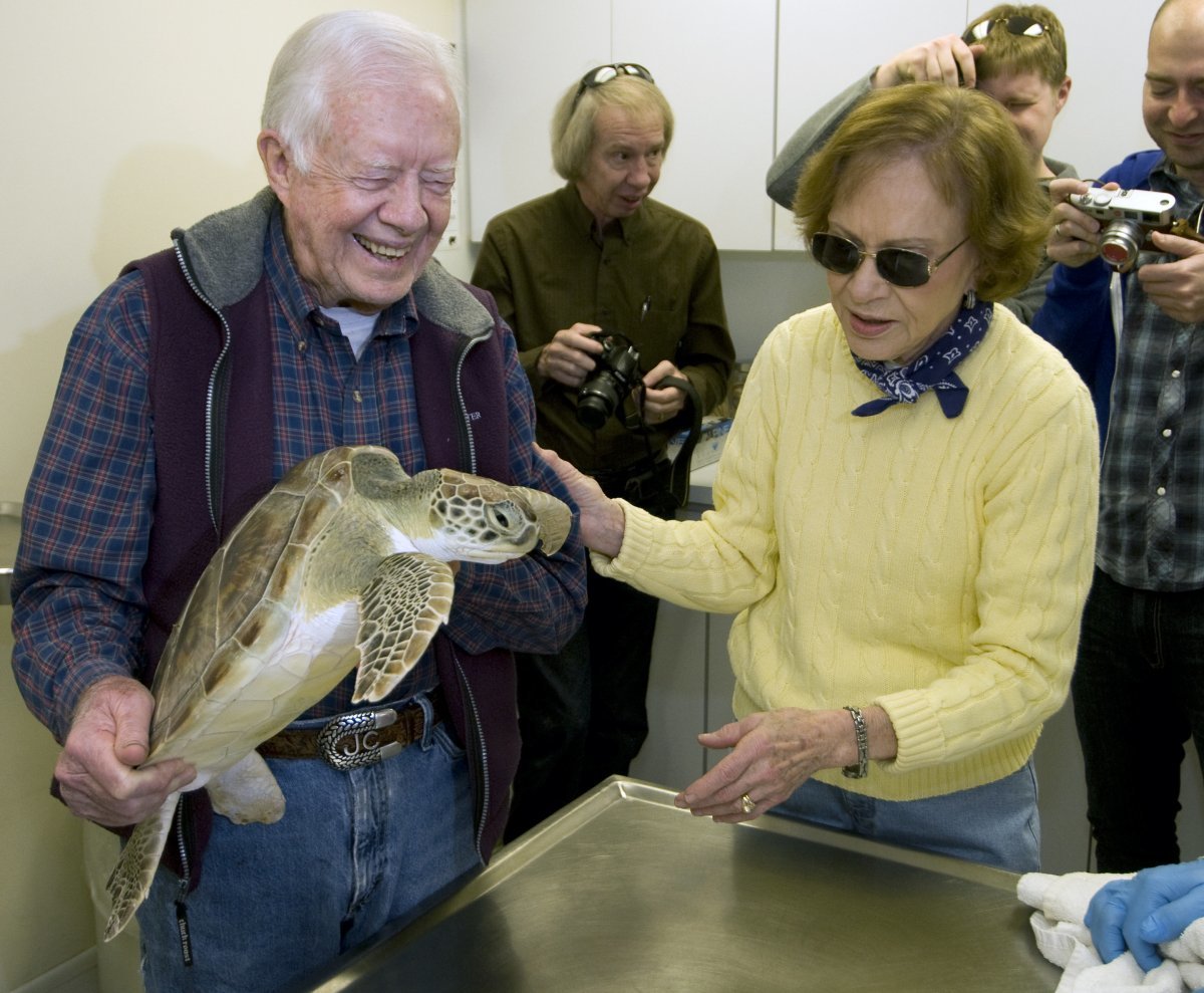 2010년 플로리다주 키스 거북이 병원에서 거북이를 돌보는 부부. AP 뉴시스