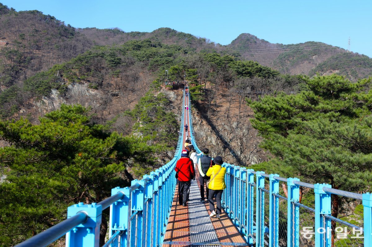 소금산 출렁다리를 건너고 있는 관광객들.