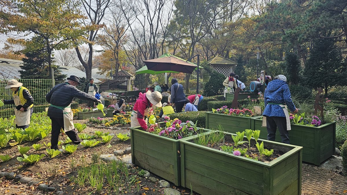 참여자들이 정원을 돌보는 모습. 성남=김선미 기자