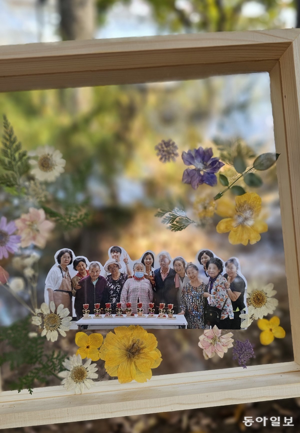 어르신들이 말린 꽃으로 만든 압화 액자. 성남=김선미 기자