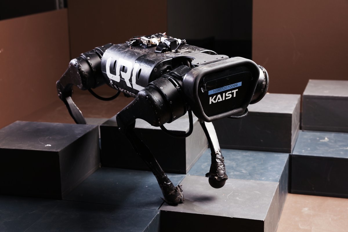 4족 자율보행로봇 명현 KAIST 교수 팀이 개발한 4족 자율보행로봇 ‘드림워커’. 명 교수 팀은 미국 연구팀과의 글로벌 협력을 통해 드림워커의 성능을 향상하는 연구를 하고 있다. KAIST 제공