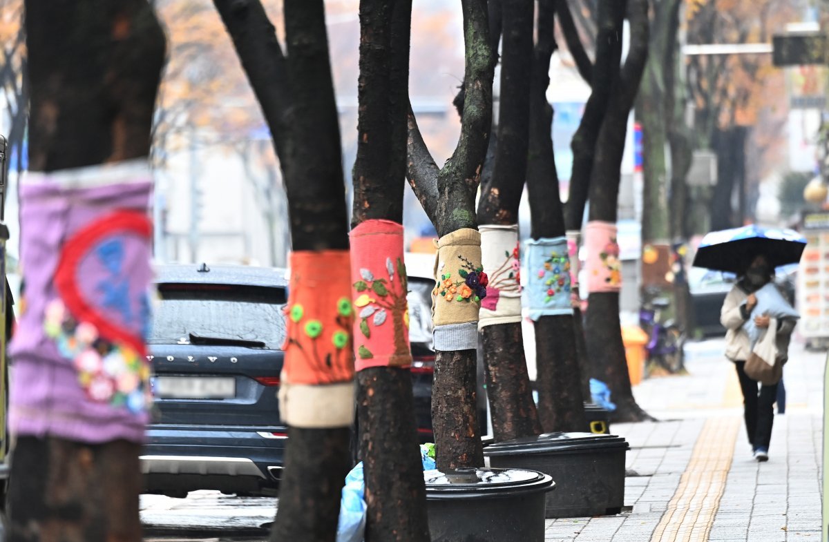 뜨개옷으로 월동준비한 가로수 비가 내린 27일 경기 수원시 영통구 망포역 인근 거리에서 우산을 쓴 시민이 형형색색의 뜨개옷을 입은 가로수 옆을 걷고 있다. 수원=뉴시스