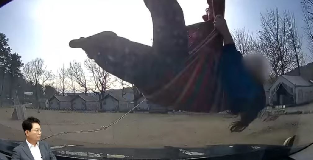 집라인을 타고 내려오다 A 씨에 차에 부딪힌 학생. 유튜브 채널 한문철TV 영상 캡처