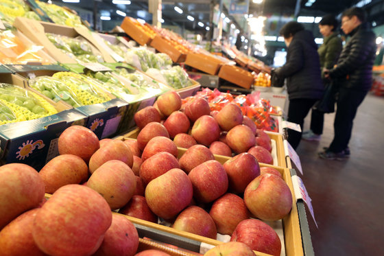 서울 마포구 농수산물 시장에 사과를 비롯한 과일들이 진열돼 있다. 2023.11.26/뉴스1