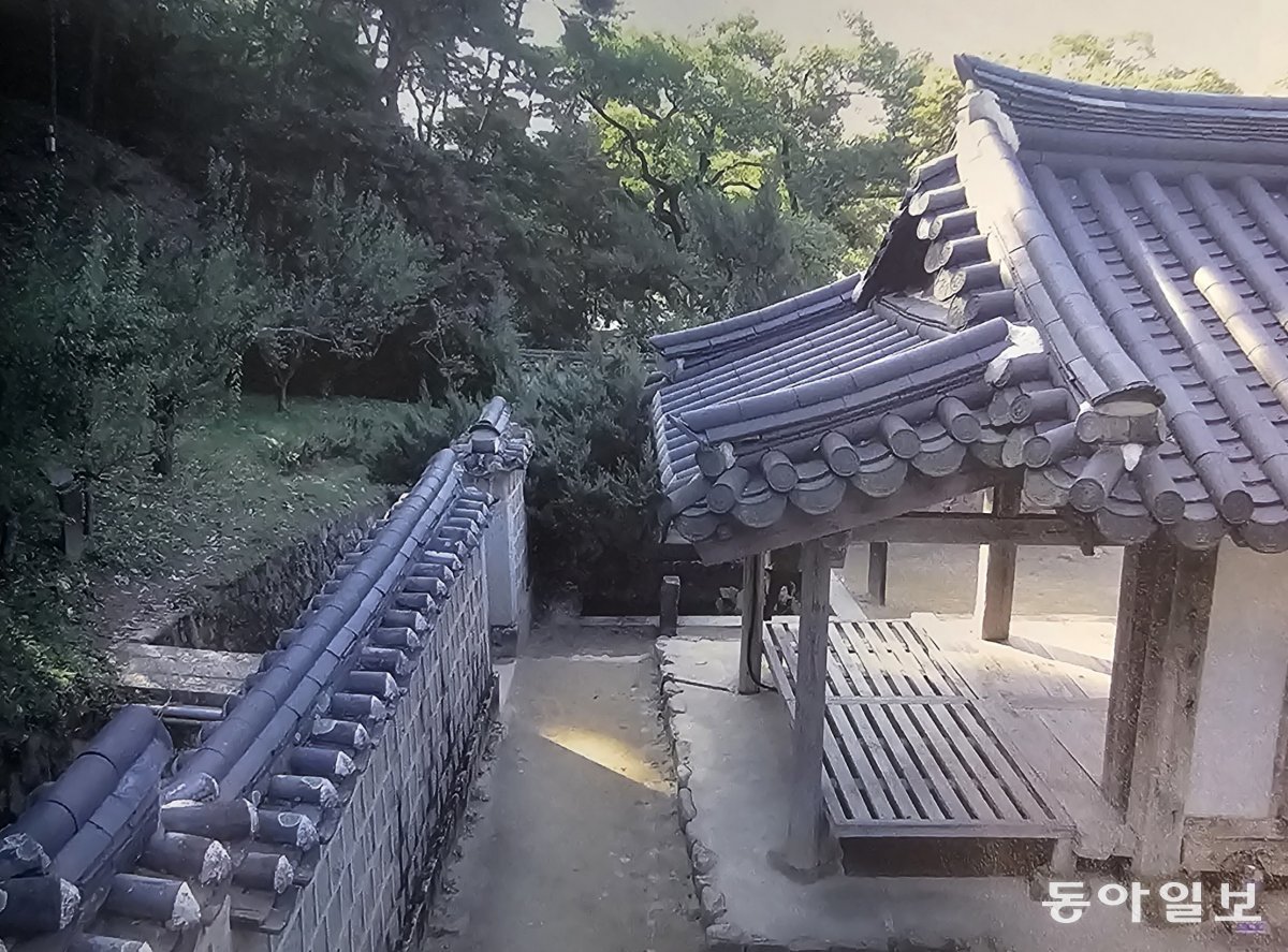 도산서당 정우당과 절우사. 퇴계는 서당 앞마당에 못을 파고 연꽃을 심어 정우당이라고 이름 짓고 담 밖 도랑 건너 언덕에는 소나무  대나무 매화 국화를 심고 절우사로 불렀다. 성종상 교수 제공