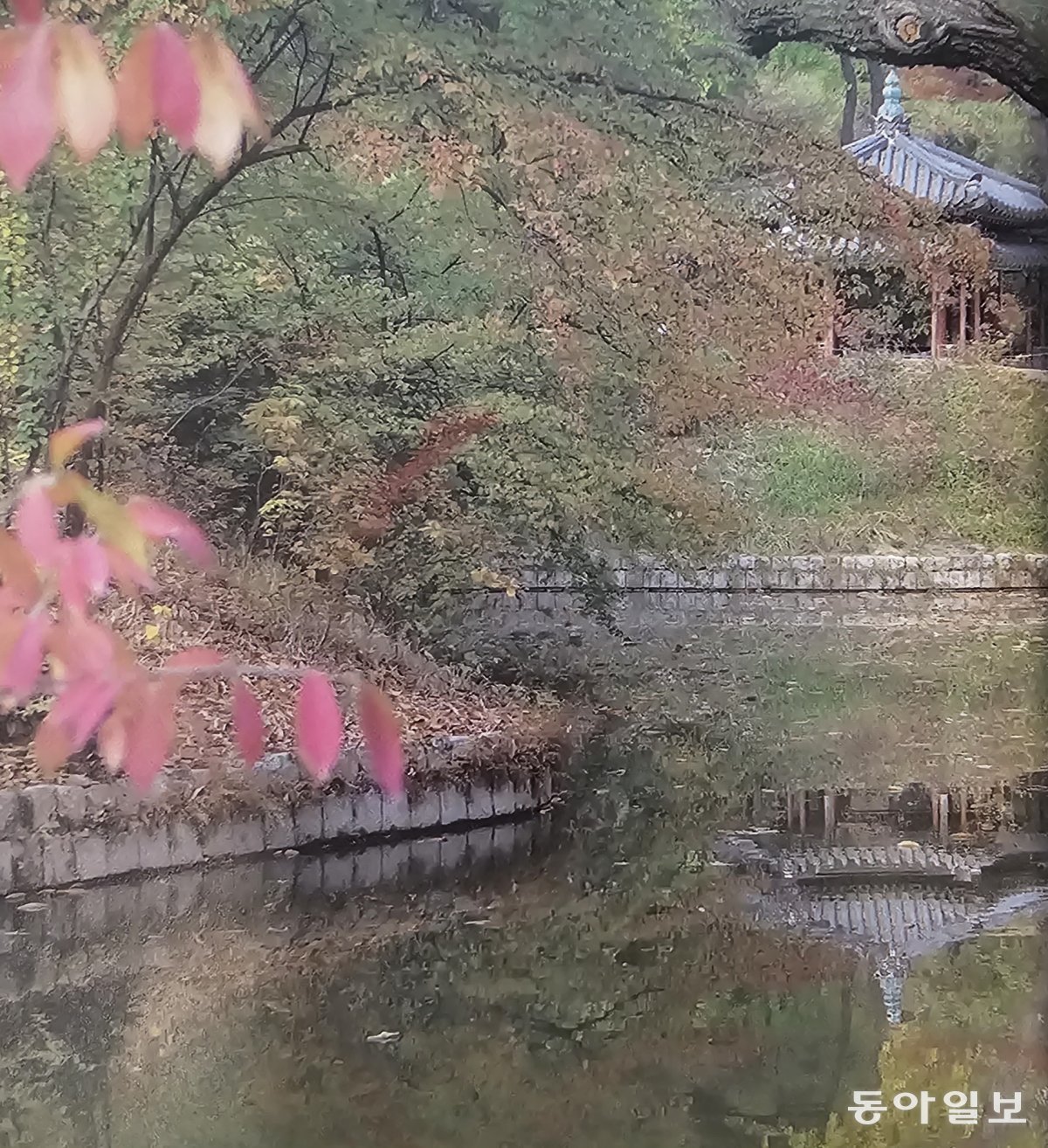 창덕궁 후원. 정조는 학문과 사상 소통을 하는 공간 정치의 현장으로 정원을 활용했다. 성종상 교수 제공