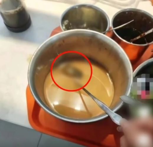 중국 장쑤성 양저우시에 있는 한 직업기술대학교 구내식당 양념통에서 쥐가 발견됐다. 채널A