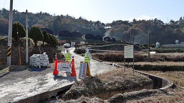 5일 고병원성 조류인플루엔자(AI)가 발생한 전남 고흥의 한 육용오리 농장에서 방역 활동이 진행되고 있다.(고흥군 제공)2023.12.5/뉴스1