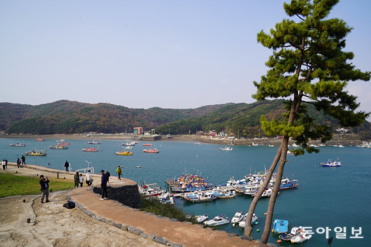 충청수영성 영보정에서 내려다본 오천항의 배들.