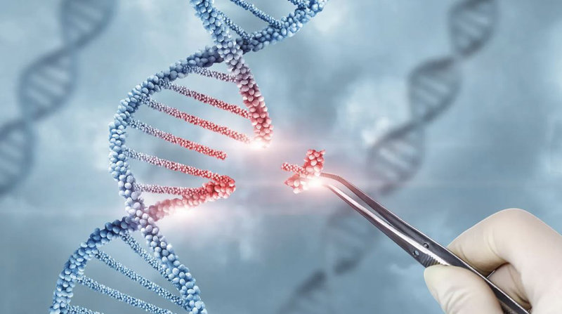 크리스퍼 유전자가위 기술을 이용한 세계 최초의 치료제가 영국에 이어 미국에서 승인됐다. 크리스퍼 유전자가위는 세포에서 유전자 중 원하는 부위만 잘라내 교정하는 기술이다. 사진은 유전자가위 기술의 상상도. 사진 출처 게티이미지