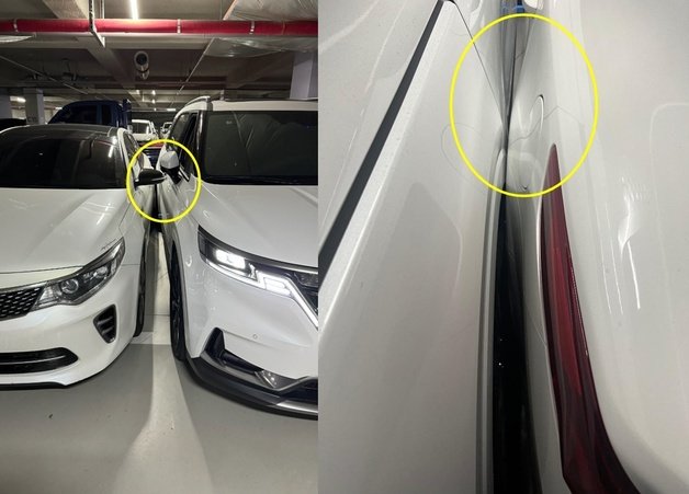 (보배드림 갈무리)