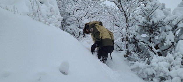 설악산 고지대 탐방로에 쌓인 눈.(설악산국립공원사무소 제공) 2023.12.15/뉴스1