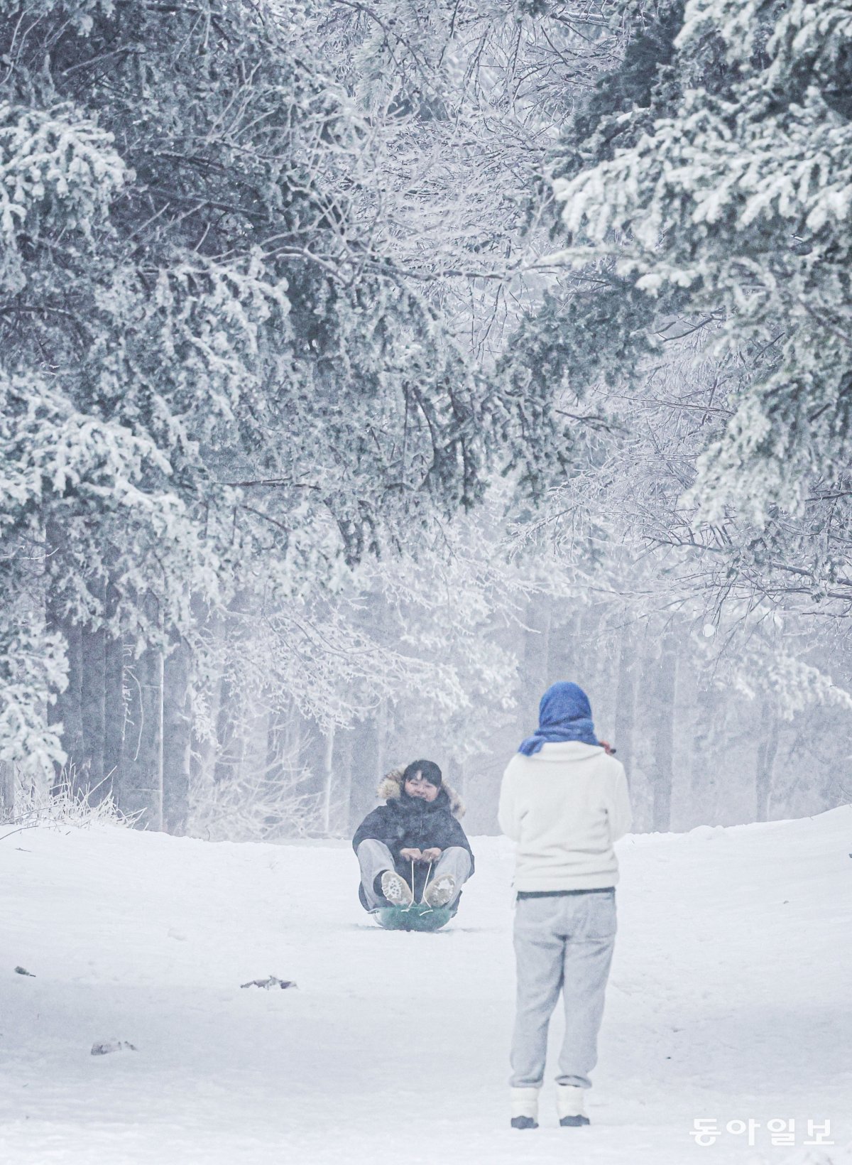 15일 대관령휴게소 인근 숲길을 찾은 한 커플이 눈썰매를 타며 즐거운 시간을 보내고 있다. 박형기 기자 oneshot@donga.com