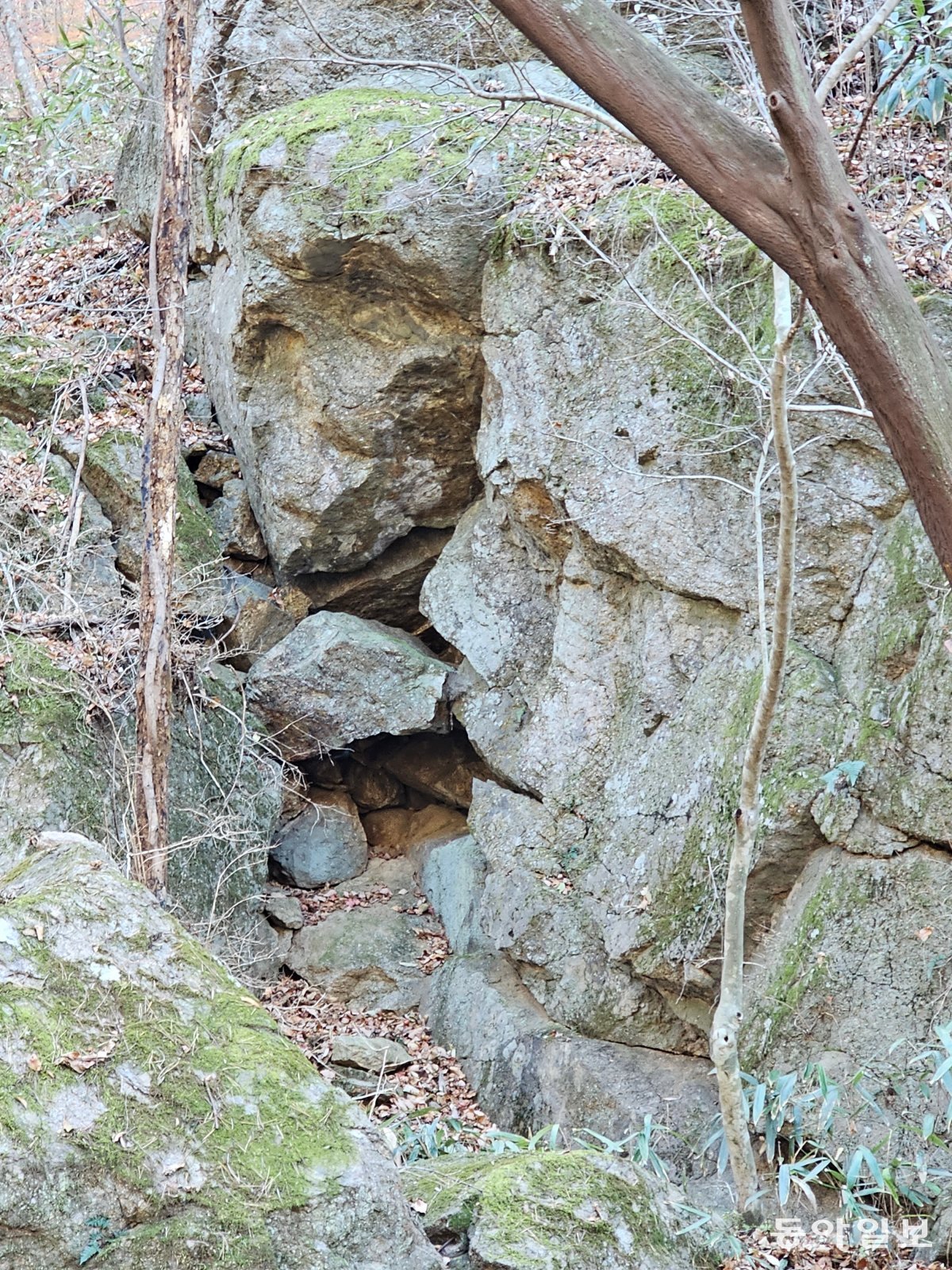 지리산 쌍계사  불일폭포 산책길에 있는 사람 얼굴 모양의 바위.