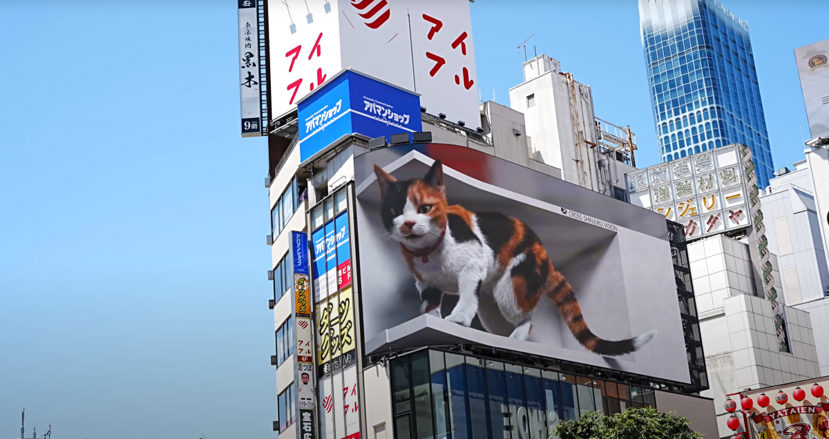 일본 도쿄 신주쿠 거리 한 건물의 3차원(3D) 고양이 전광판. 디지털 기술을 접목한 이 새로운 미디어 파사드는 거리의 활기를 되살렸다. 유튜브 화면 캡처