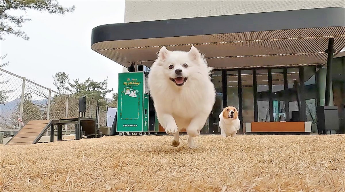 더북한강R점 팻 전용 공간