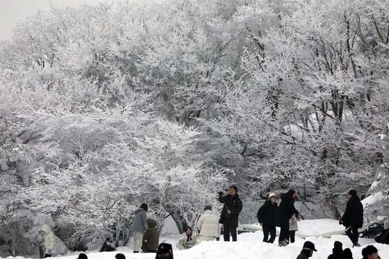 성탄절을 하루 앞둔 24일 제주시 한라산 1100고지 휴게소에서 도민과 관광객들이 설경을 보며 즐거운 시간을 보내고 있다.2023.12.24 뉴스1