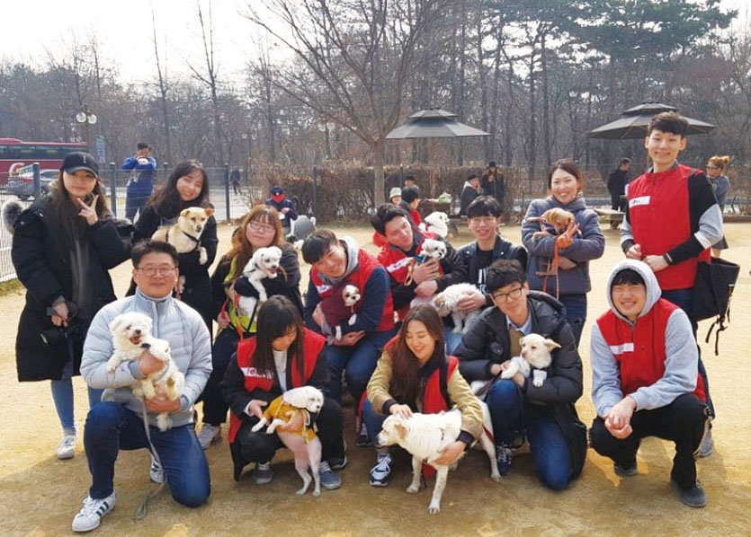 유기동물구호단체 ‘팅커벨 프로젝트’에 유기견 봉사활동을 나간 LG전자 피터팬봉사단원들과 ‘팅커벨 프로젝트’ 운영위원들.