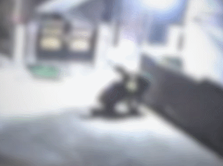 시신이 담긴 고무통을 차로 옮기는 피의자. 유튜브 서울경찰 영상 캡처