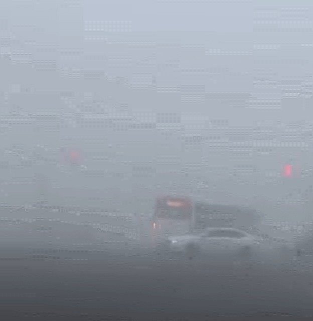 28일 상하이 교외 지역에 짙은 안개가 내렸다. (출처=이보 갈무) /뉴스1
